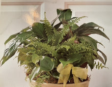 Load image into Gallery viewer, Dish Garden