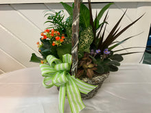 Load image into Gallery viewer, Dish Garden