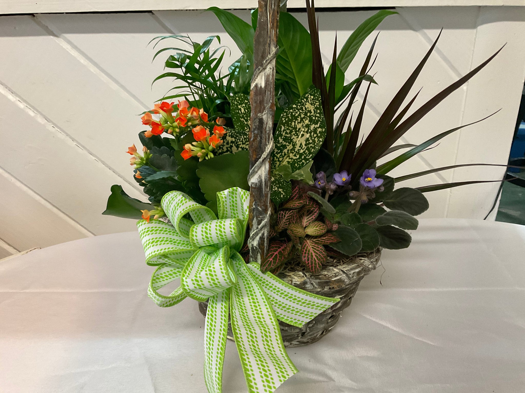 Dish Garden Flower Arrangement | Best Flower Site